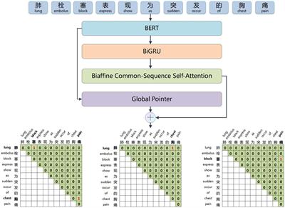 BCSLinker: automatic method for constructing a knowledge graph of venous thromboembolism based on joint learning